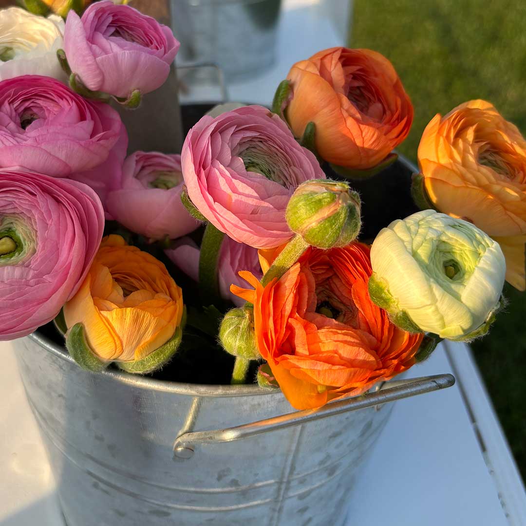 2026 Seasonal Flower Subscription | Fresh Flowers | Local