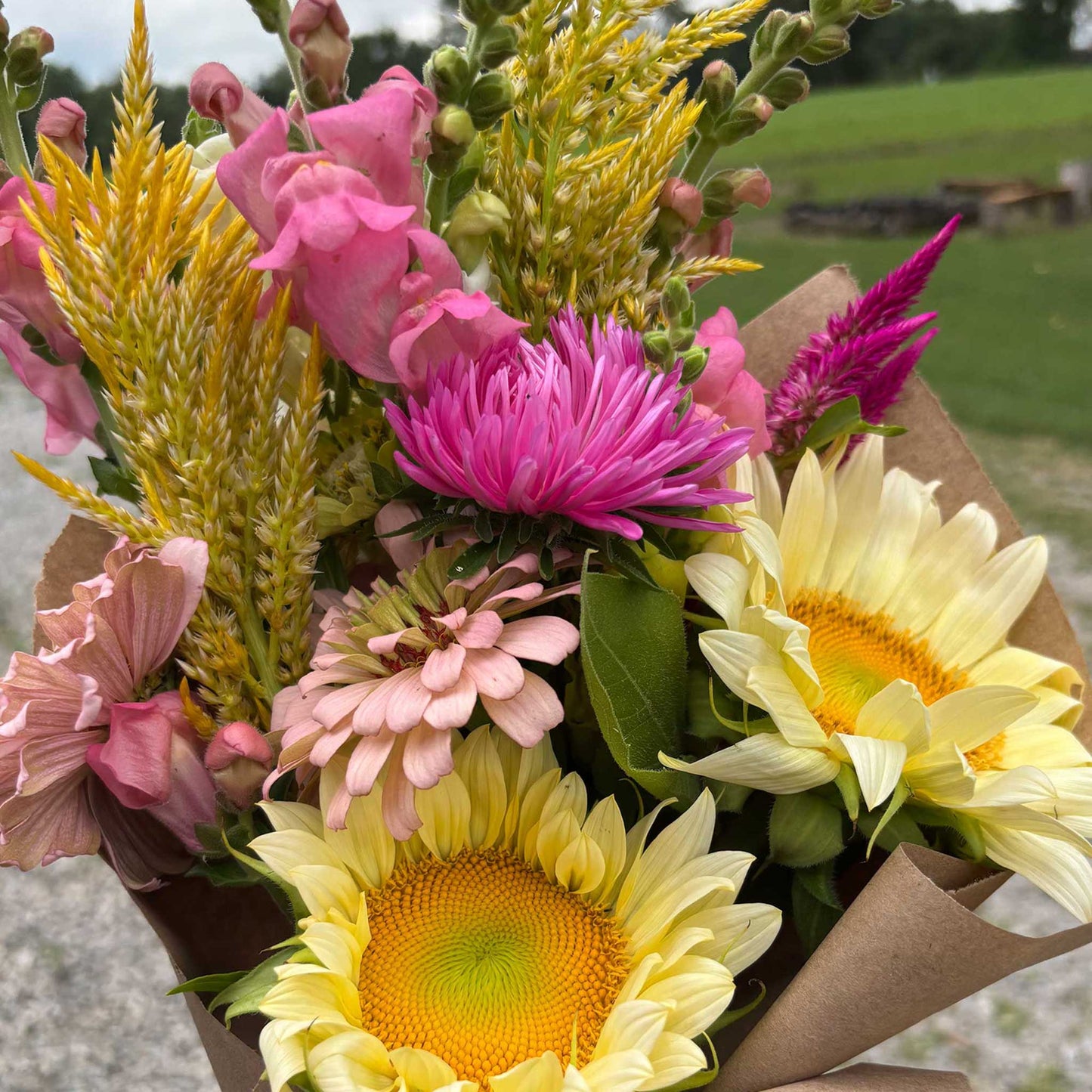 Summer Flower Bouquet Subscription - Fresh & Local