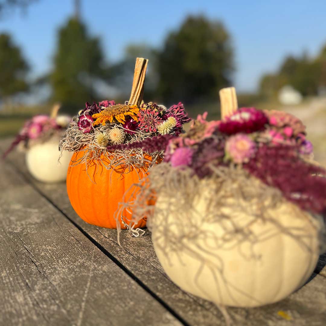 Dried Flower Pumpkin Centerpiece Workshop