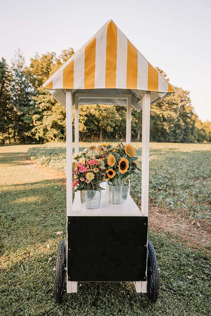 Bloom Bar Rental