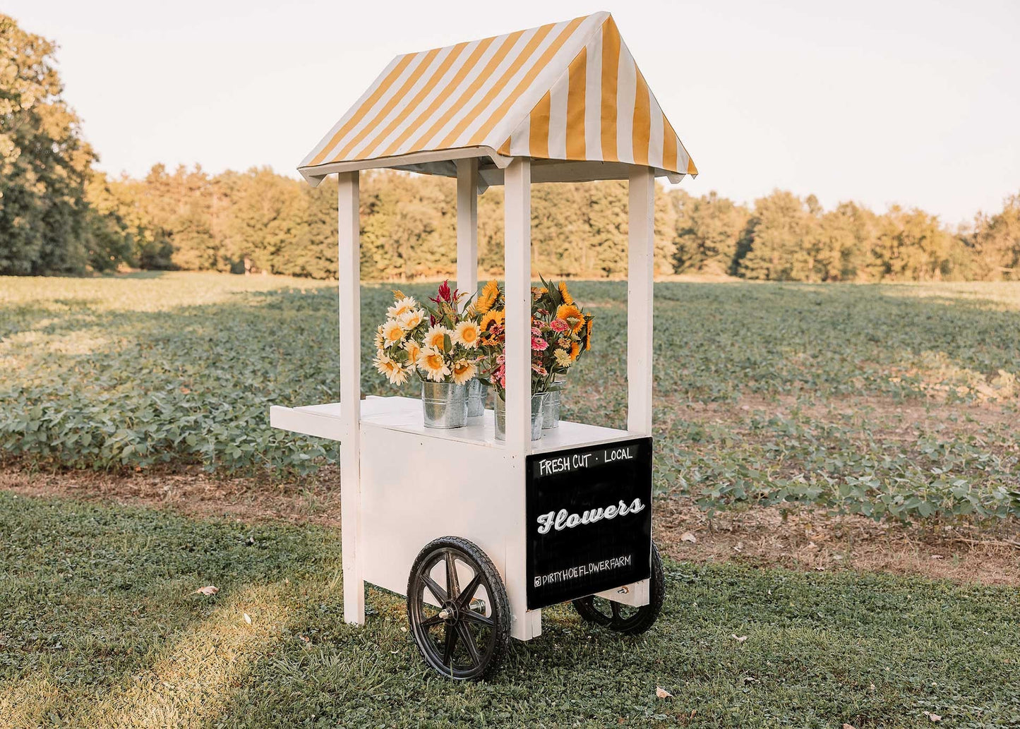Bloom Bar Rental