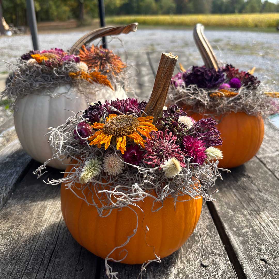 Dried Flower Pumpkin Centerpiece Workshop