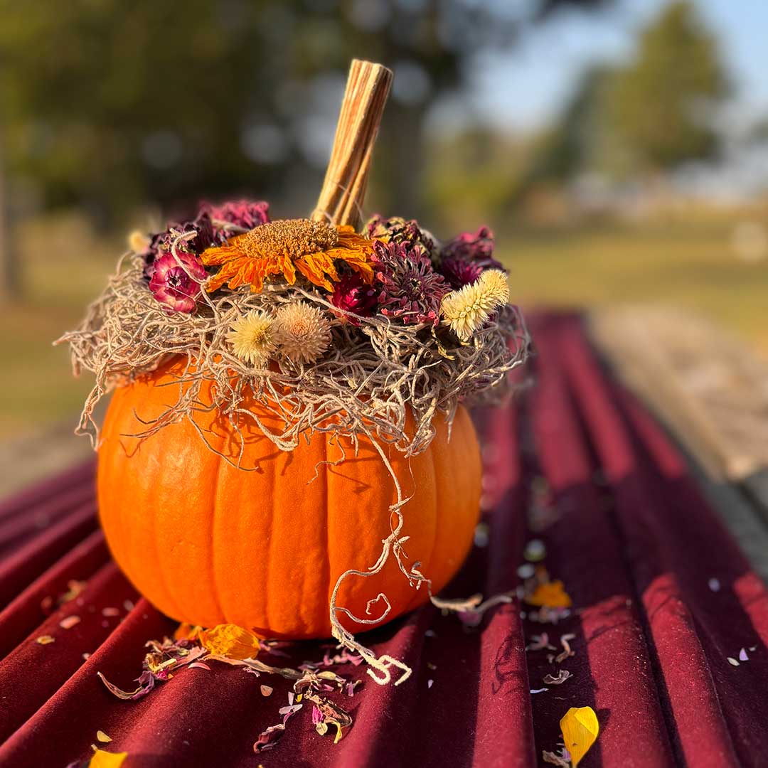 Dried Flower Pumpkin Centerpiece Workshop
