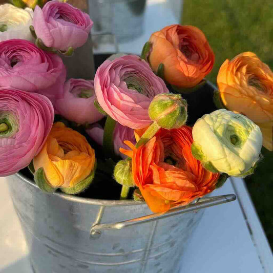 Spring Bouquet Subscription