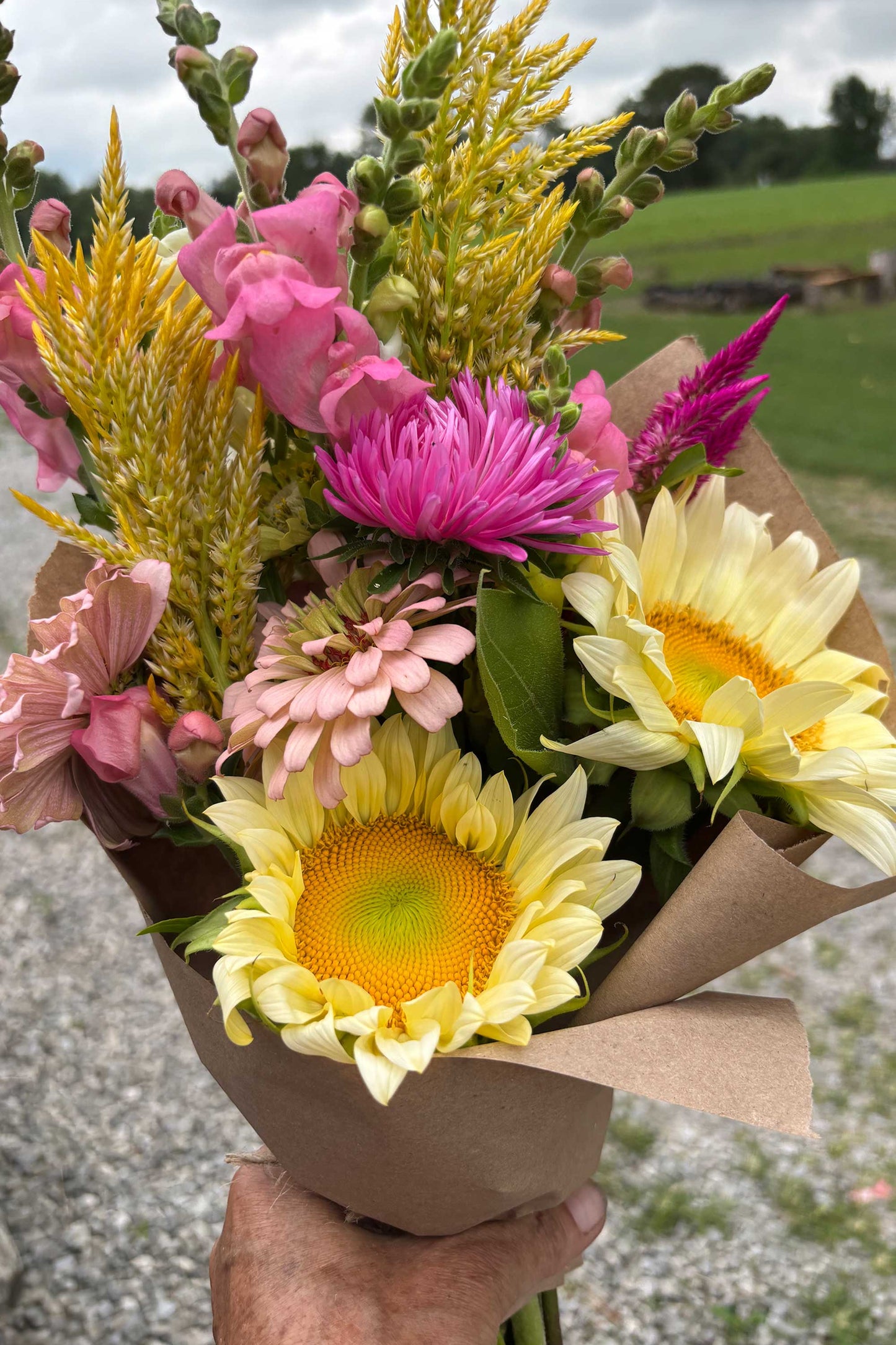 Summer Flower Bouquet Subscription - Fresh & Local