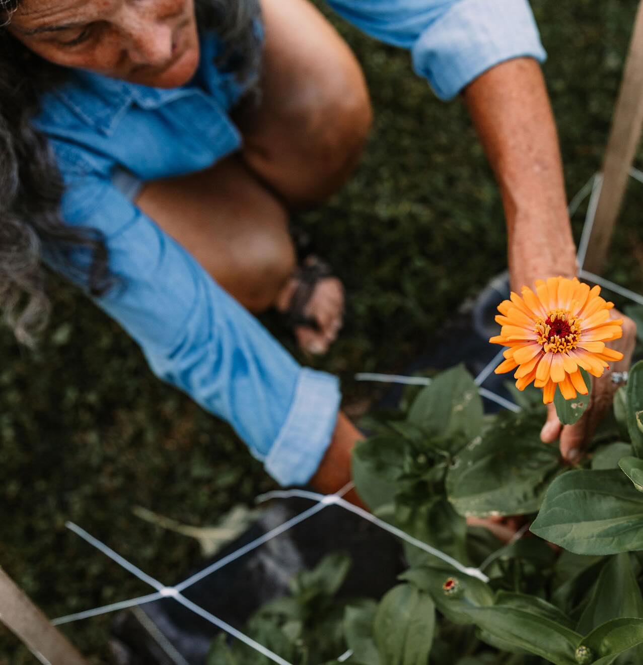 Cutting Garden Workshop