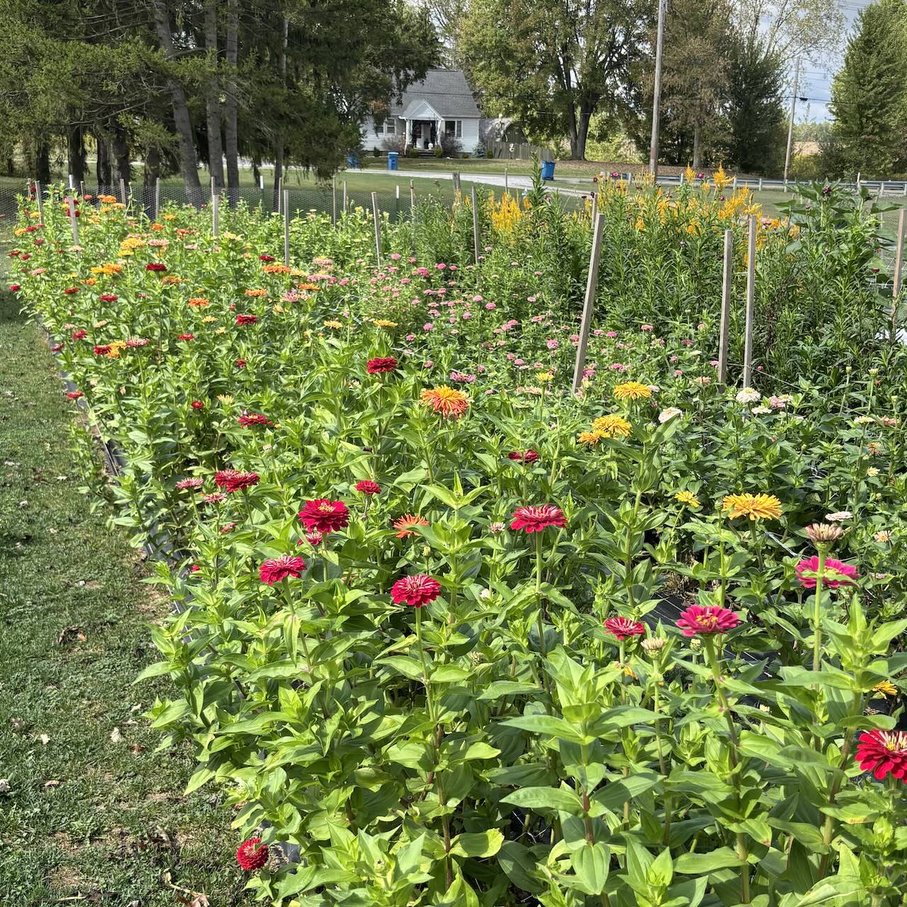 Cutting Garden Workshop