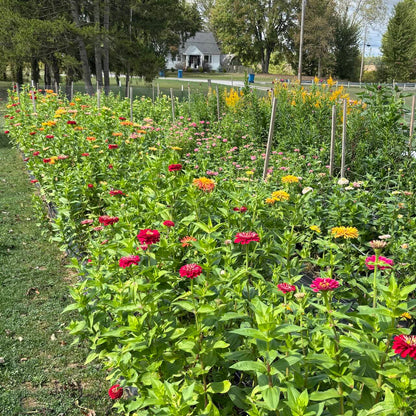Cutting Garden Workshop