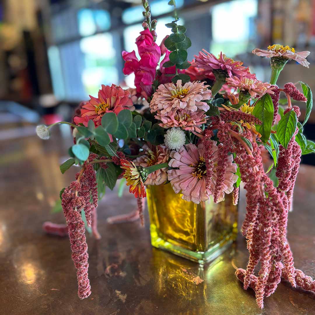 Amaranth 'Coral Fountain'