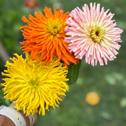 Cutting Garden Workshop
